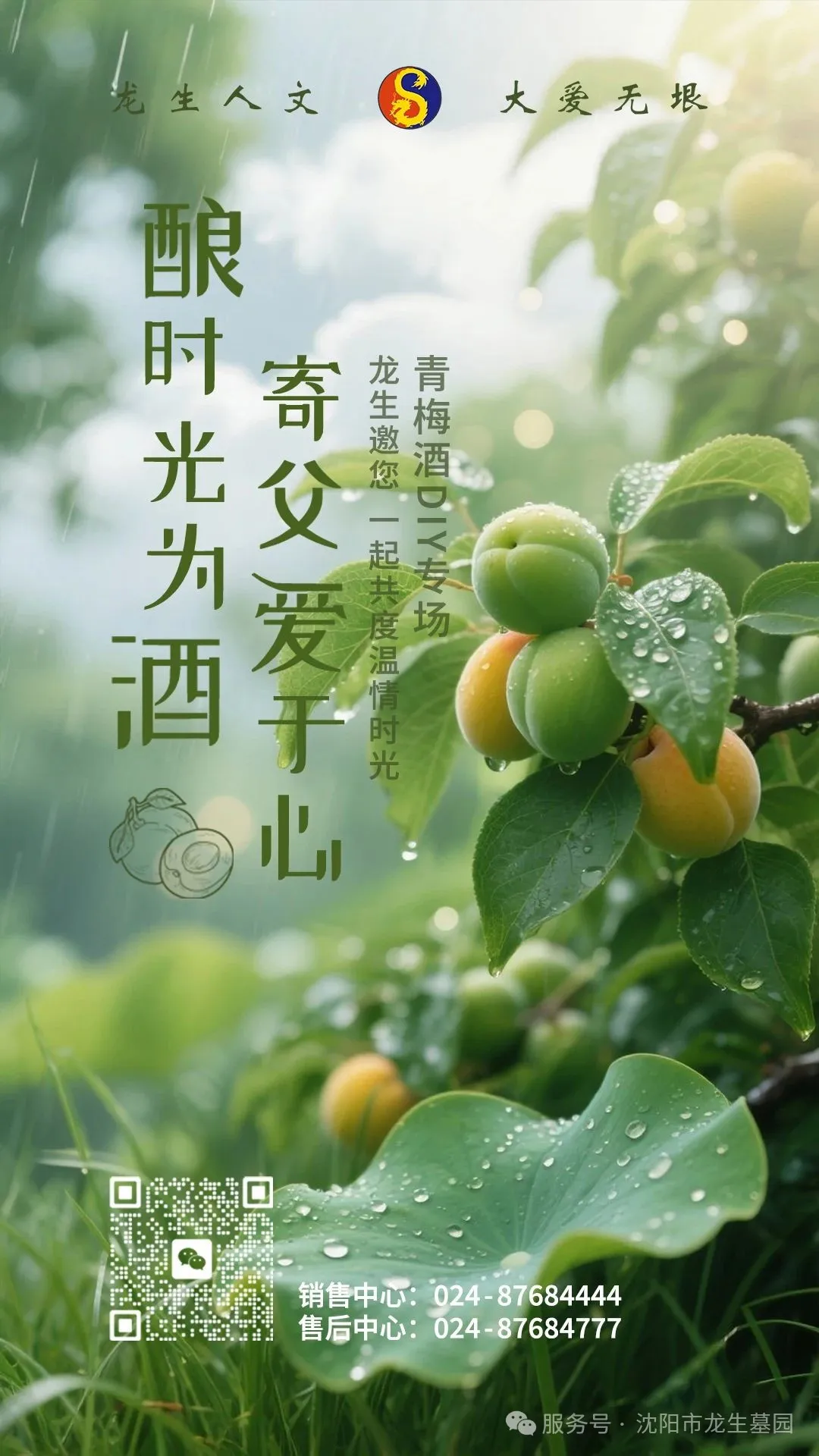 沈陽墓園邀您共赴父親節溫情公益一日游