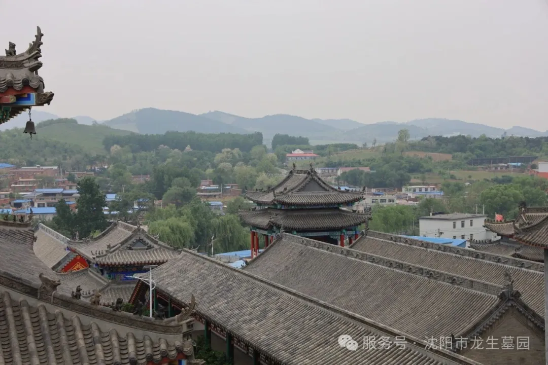 粽香寄情，溫暖同行——沈陽墓園記2025龍生端午公益一日游