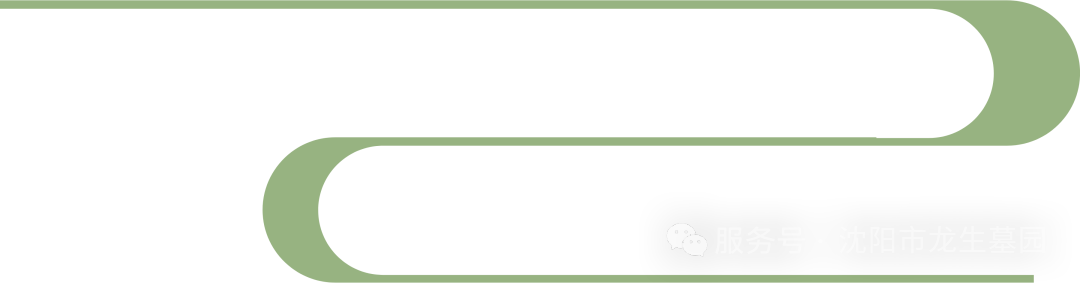 粽香寄情，溫暖同行——沈陽墓園記2025龍生端午公益一日游