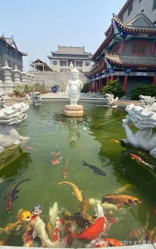 沈陽墓園邀您共赴父親節溫情公益一日游