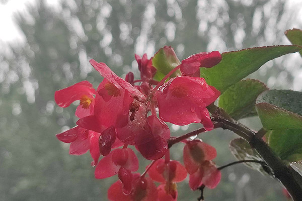 塑造沈陽墓地陵園殯儀服務人員的自我形象