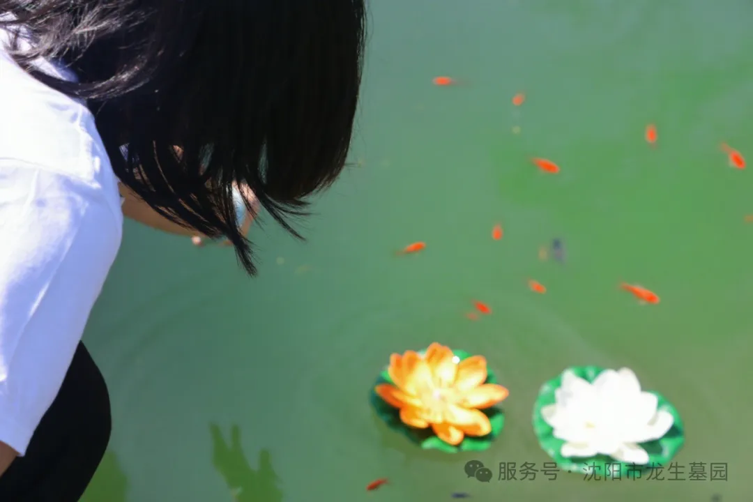 圖片沈陽陵園中元祭·沈陽墓園人文禮｜龍生第八屆中元文化節圓滿禮成