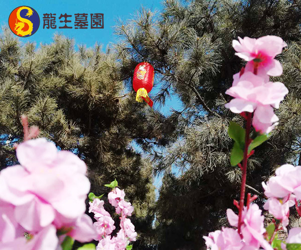 沈陽陵園墓地樹葬有年限嗎？詳解樹葬的使用期限與續費政策