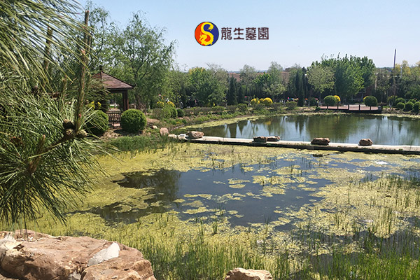 沈陽陵園墓志與墓志銘：記錄歷史，傳承文化