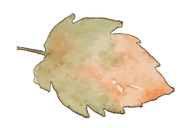 寒衣節活動紀實 | 沈陽龍生墓園參與社區寒衣節文明祭祀倡議活動 ——記沈陽市殯葬協會與武功山社區黨群聯合舉辦公益活動