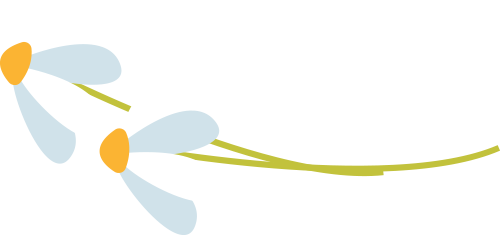 寒衣節活動紀實 | 沈陽龍生墓園參與社區寒衣節文明祭祀倡議活動 ——記沈陽市殯葬協會與武功山社區黨群聯合舉辦公益活動