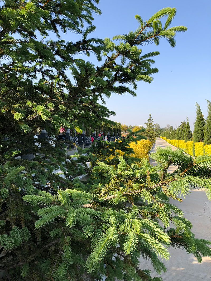 龍生墓園