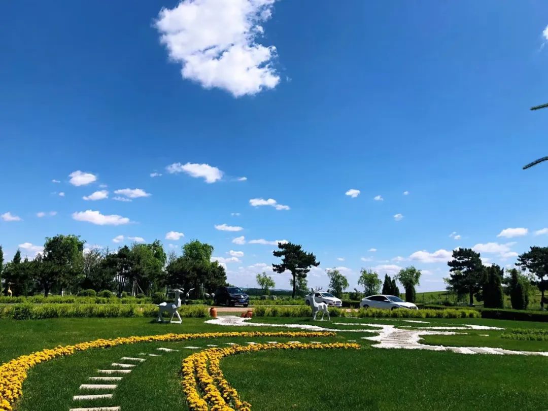 沈陽陵園龍生墓園官方與春相約，擁抱綠色健康，打造最美清明！