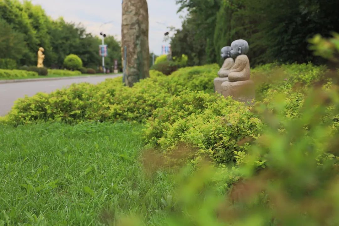 沈陽陵園龍生墓園官方與春相約，擁抱綠色健康，打造最美清明！