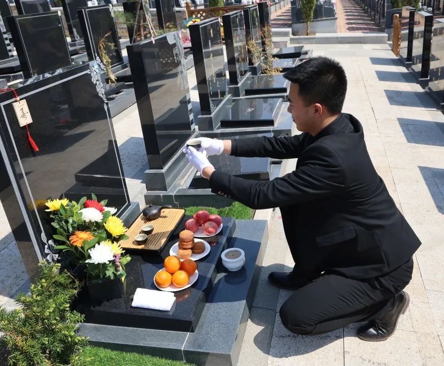 沈陽陵園龍生墓園官方與春相約，擁抱綠色健康，打造最美清明！