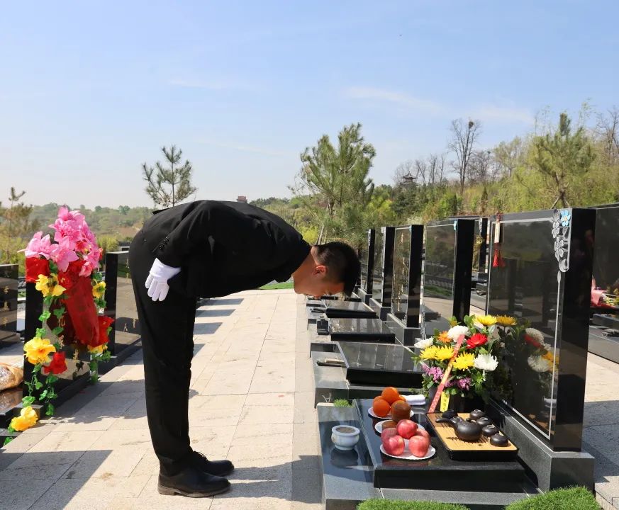 沈陽陵園龍生墓園官方與春相約，擁抱綠色健康，打造最美清明！