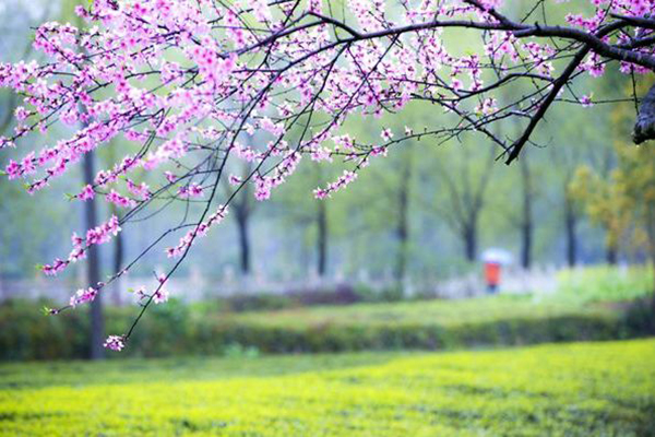 沈陽龍生墓園