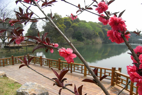 沈陽龍生墓園