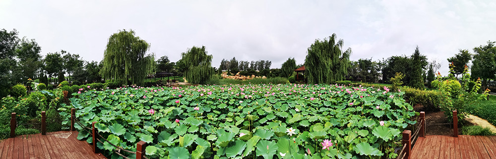 沈陽墓園龍生自然景觀
