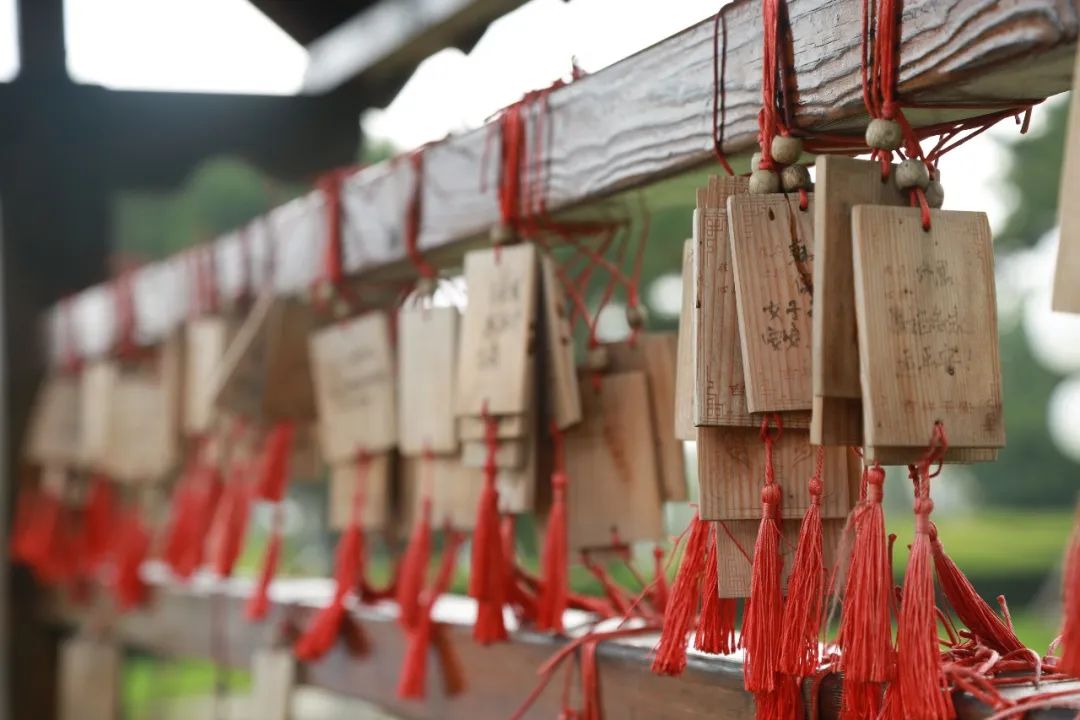 我們的眼淚濕潤著泥土，思念之情如迷霧般彌漫——沈陽陵園墓志銘