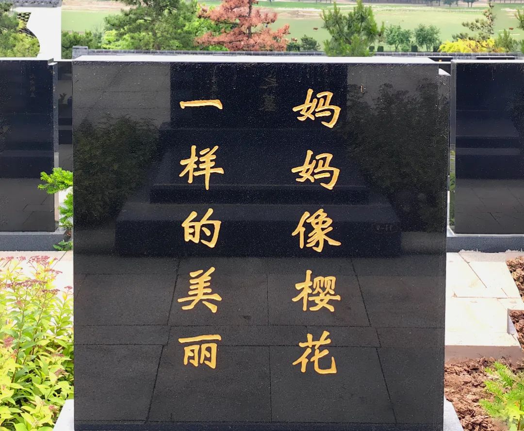 我們的眼淚濕潤著泥土，思念之情如迷霧般彌漫——沈陽陵園墓志銘