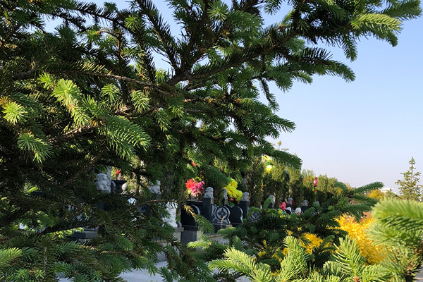 沈陽龍生墓園養護認知，打造口碑好的公墓