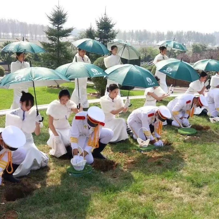 元旦喜迎新，龍生憶去歲，展今朝，未來可期，沈陽墓園365天為愛守護！