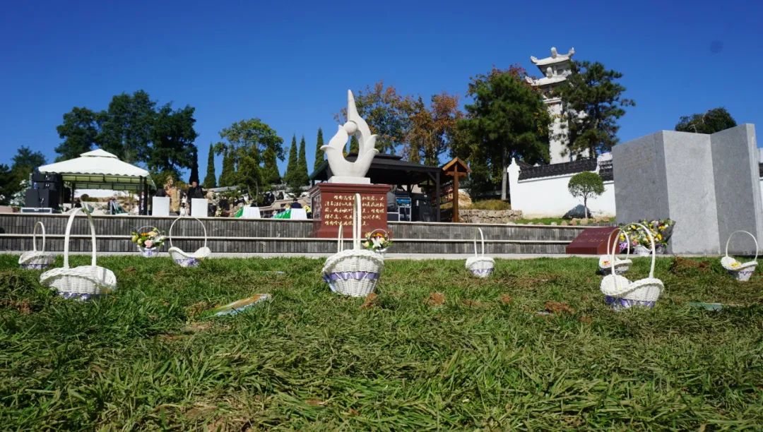元旦喜迎新，龍生憶去歲，展今朝，未來可期，沈陽墓園365天為愛守護！