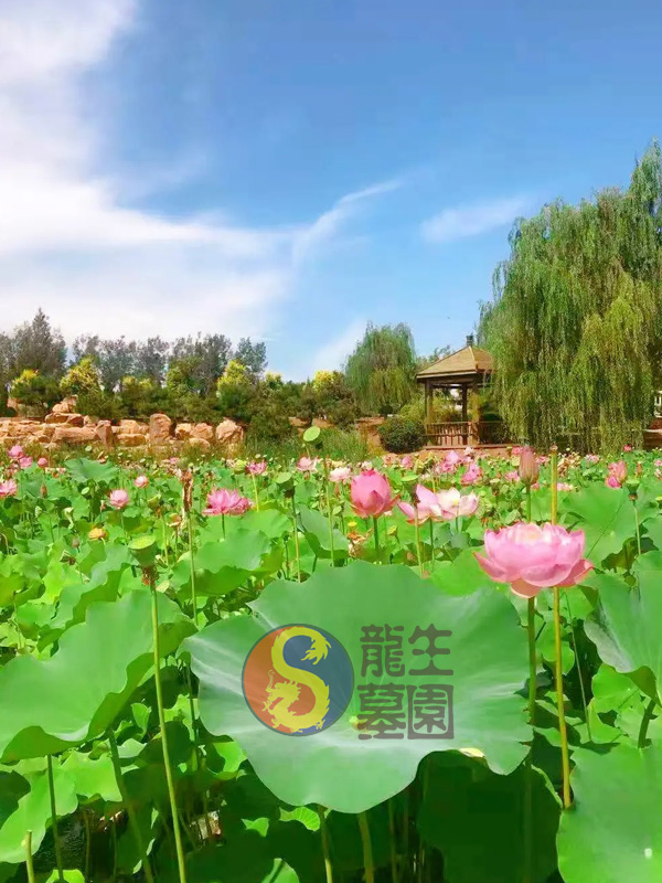 沈陽龍生墓園