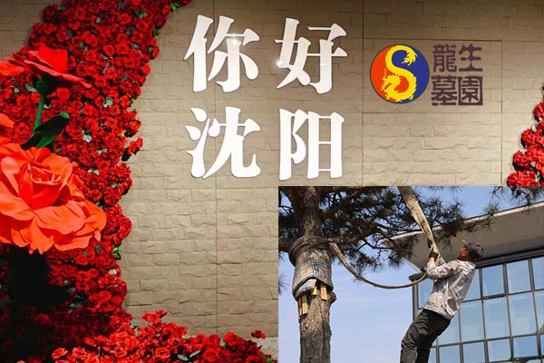 沈陽陵園開展國慶節園區安全檢查工作，全力實現平安龍生墓園！
