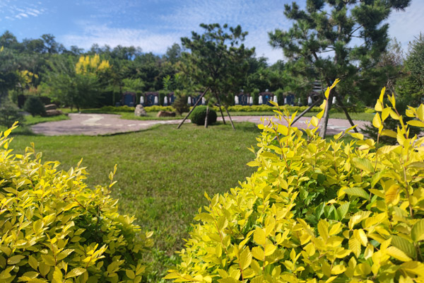 沈陽龍生墓園