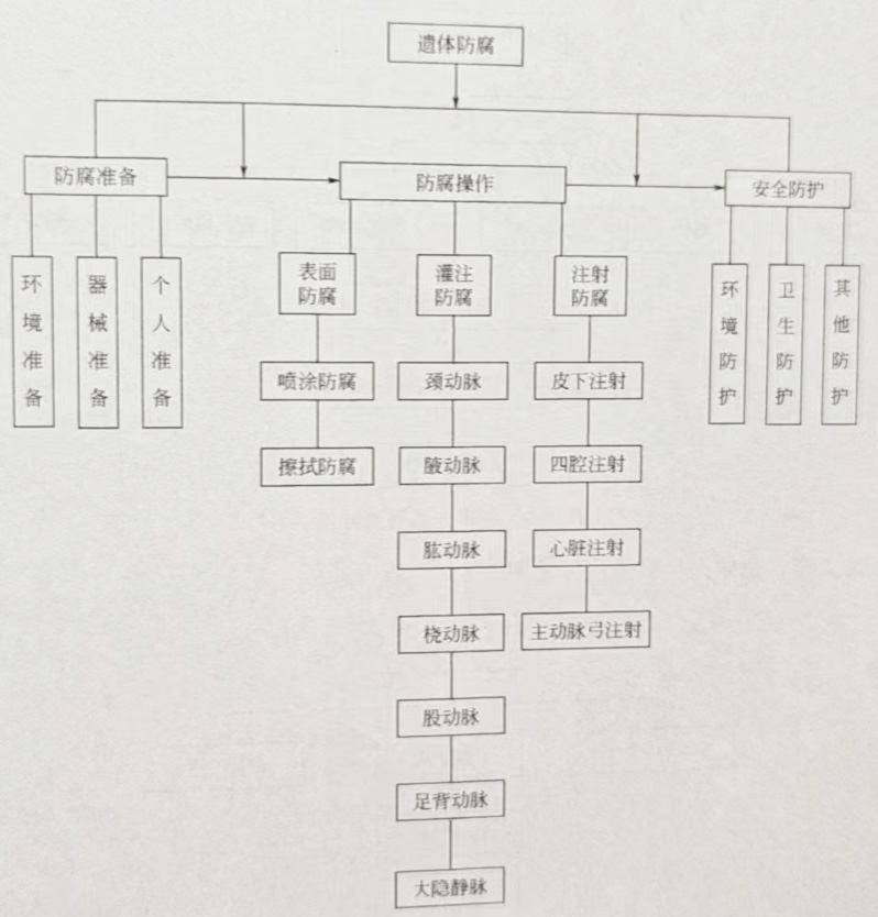 遺體防腐服務流程