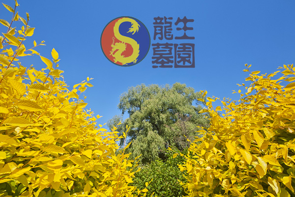 沈陽陵園網絡祭祀要求