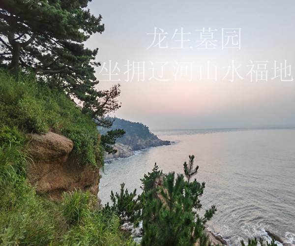 沈陽墓園行業不斷完善公墓管理員人才培養、使用、評價、激勵體系，全力推動殯葬人才工作取得新成效！