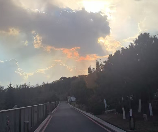 沈陽陵園殯葬文書的含義、特點及分類