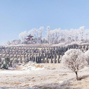 沈陽龍生墓園