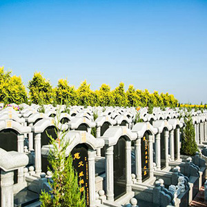 沈陽龍生墓園