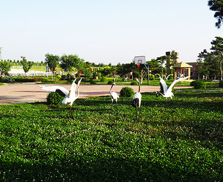 沈陽龍生墓園