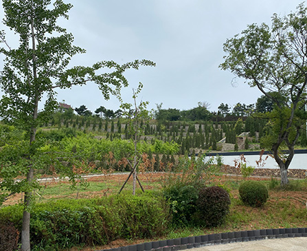 沈陽龍生墓園