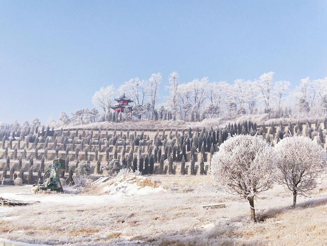 綴雪含霜(圖1)