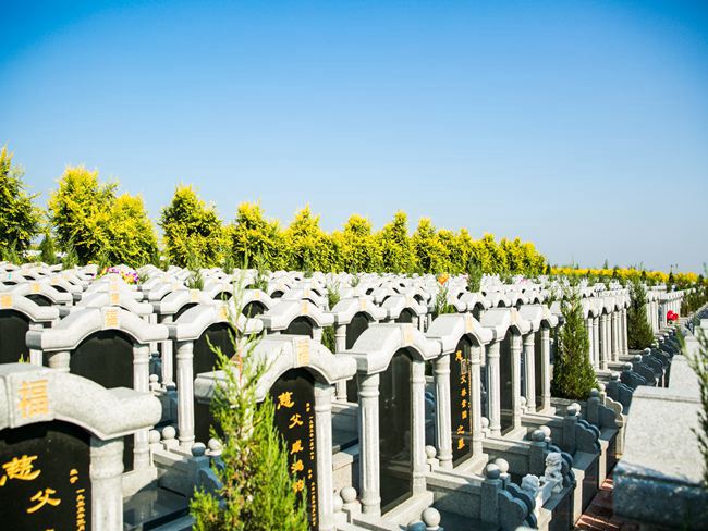 春之綠意滿園(圖1)